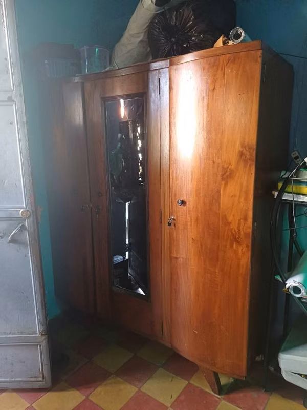 I sell Rospero of 3 bodies of ancient cedar