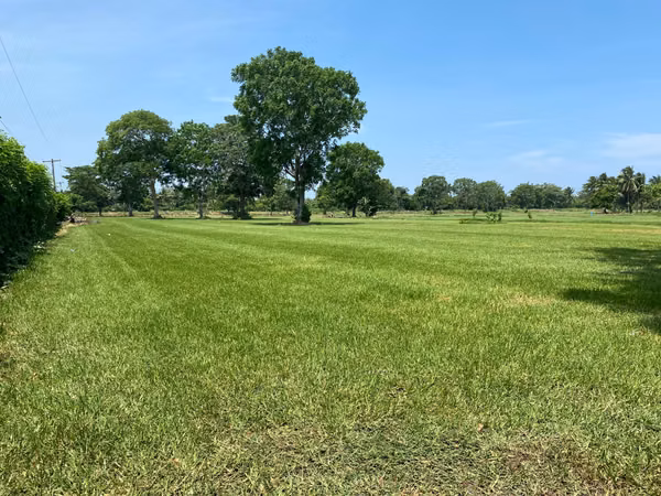 Sale of land of 20 manzanas.