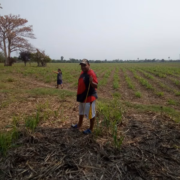Land for sale, 8 blocks