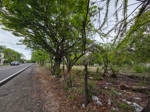 Vendo terreno km. 151 ruta de Zacapa hacia Chiquimula