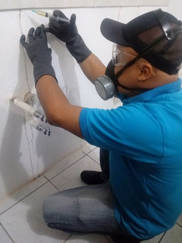 Fumigacion Guatemala