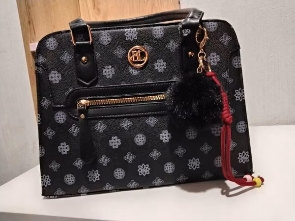 Elegant bags of Lady (New)