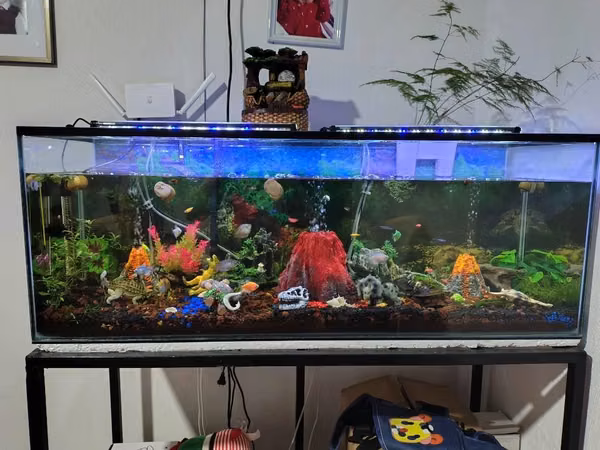 ¡Hermosa pecera completamente equipada en venta!