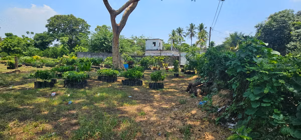 TERRENO EN VENTA EN ESCUINTLA QUINTAS VALLARTA