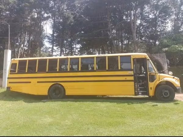 Vendo Bus