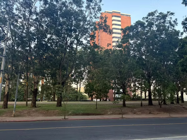 Apartamento en alquiler en Edificio Verdu zona 13