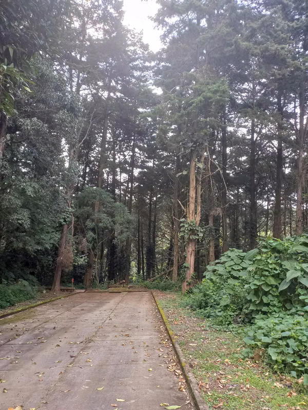 Terrenos en Casa y Campo, Km 23 Carretera a El Salvador