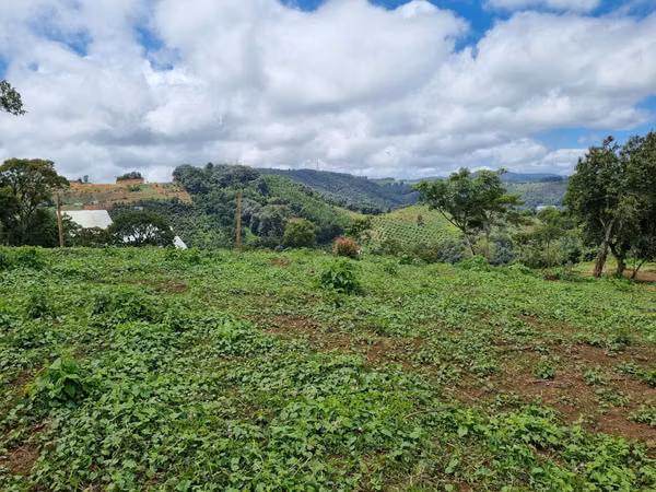 Land for Sale of 3 Apple on Road - Santo Domingo Xenacoj