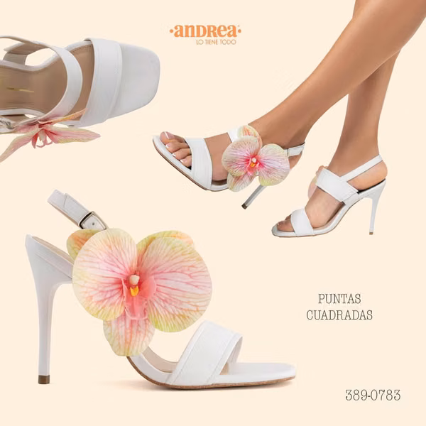 Venta de Zapatos, ropa y accesorios por catalogo  