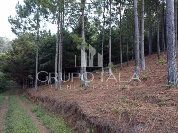Land for Sale in St. Maria Cauqué, Santiago Sacatepequez
