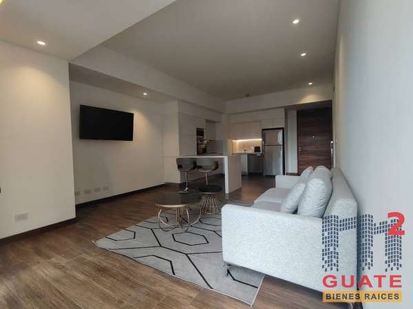 Apartamento en Renta, Zona 10