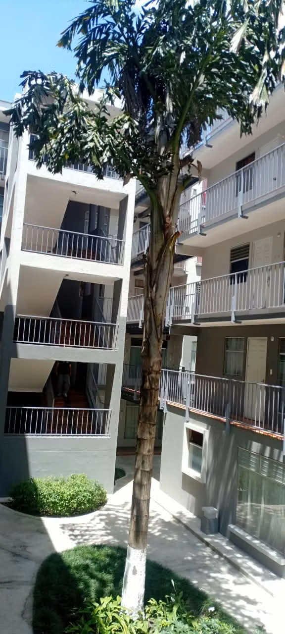 APARTAMENTO EN RENTA EN CONDOMINIO EL REFUGIO 1, ZONA 18