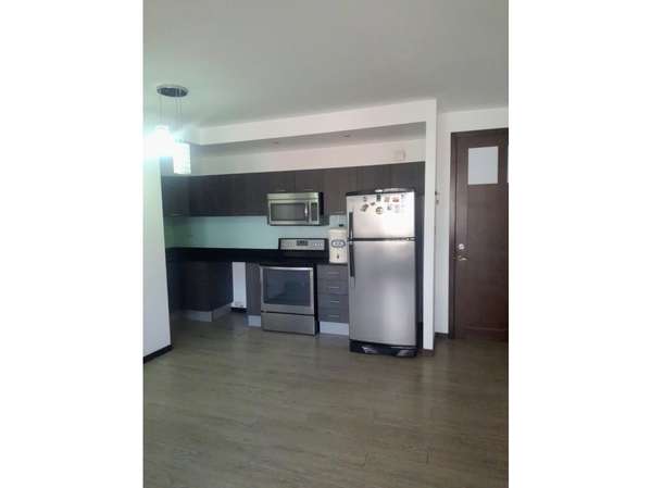 Apartamento en Renta Zona 10