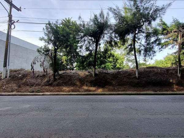 COMMERCIAL LAND RENTAL ON ROAD TO EL SALVADOR KM. 16.5 INPUT OLMECA