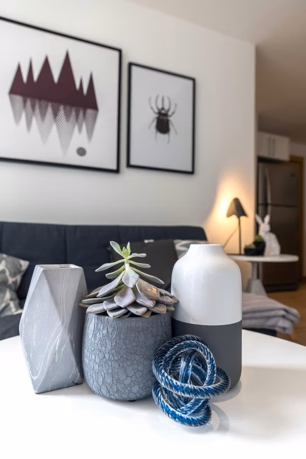 Rento apartment AMUELADO in Zone 10 GOOD PRICE!!