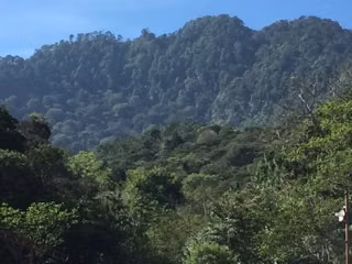 Sale of Finca de Café in the skirts of the Volcano Tecumburro, Santa Rosa