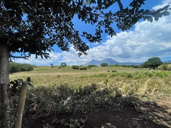 Sale of land or estate in Villa Canales El Jocoillo 43 blocks are divided 21 or 22
