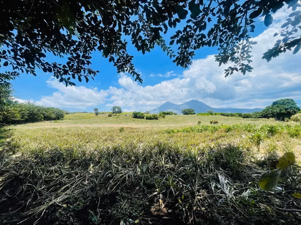 Sale of land or estate in Villa Canales El Jocoillo 43 blocks are divided 21 or 22