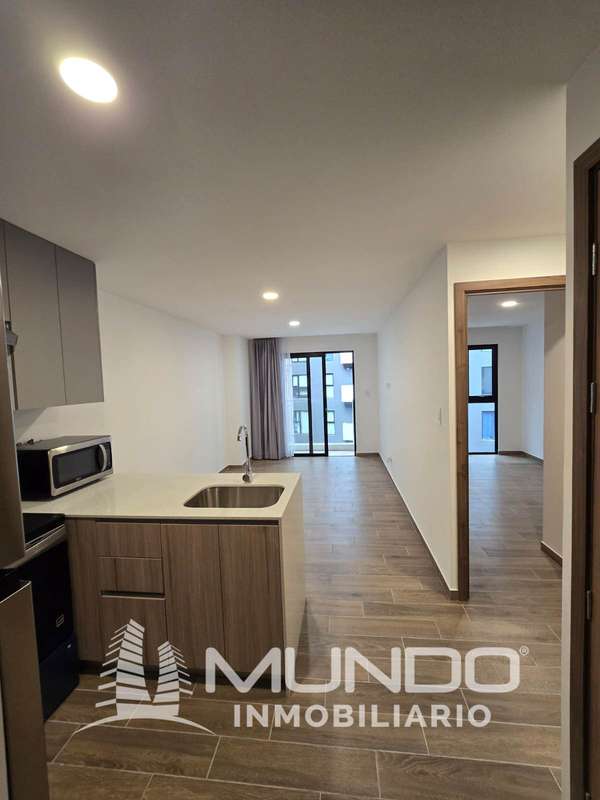 PARK 14 - 1 ROOM APARTMENT IN RENT