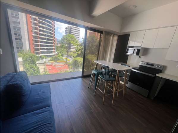 Apartamento Amueblado en Renta Zona 10