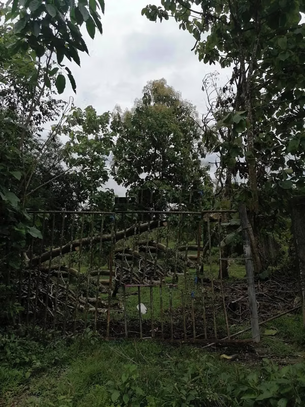 Terreno en Izabal