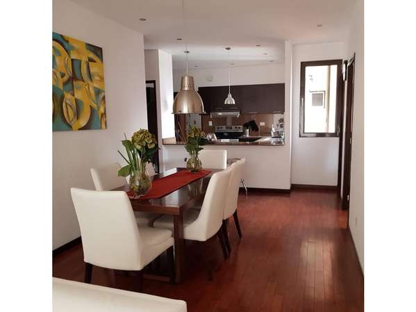 Apartamento Amueblado en Renta Zona 14