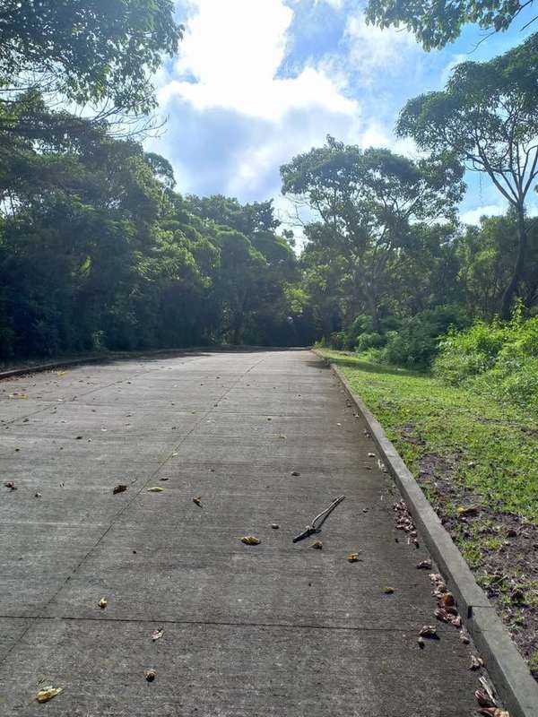 Land in Casa y Campo, Km 23 Road to El Salvador