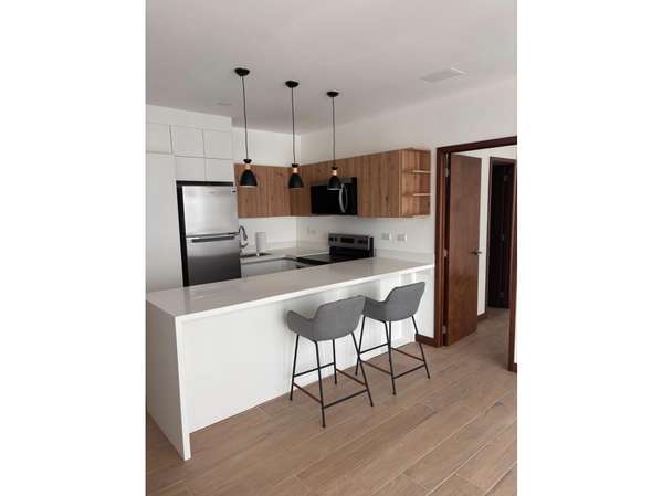 Apartamento en Renta Zona 16