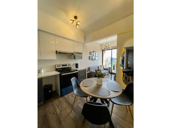 Apartamento Amueblado en Renta Zona 10