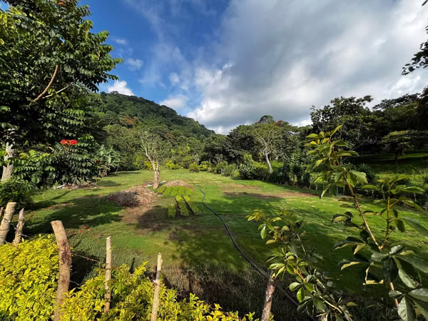 Land in Laguna del Pino, Santa Rosa