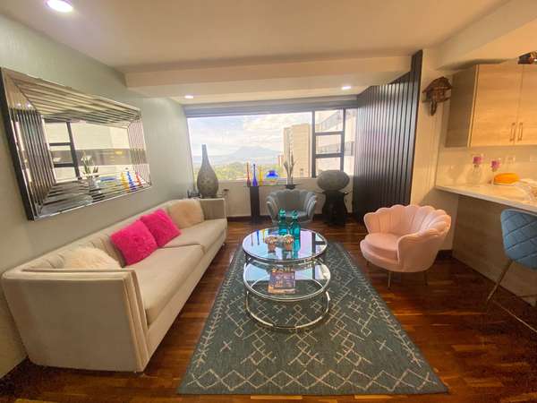 REMODELED APARTMENT FOR SALE - HIGH LEVEL, AVENUE THE AMERIC AREA 14 - 124; PV