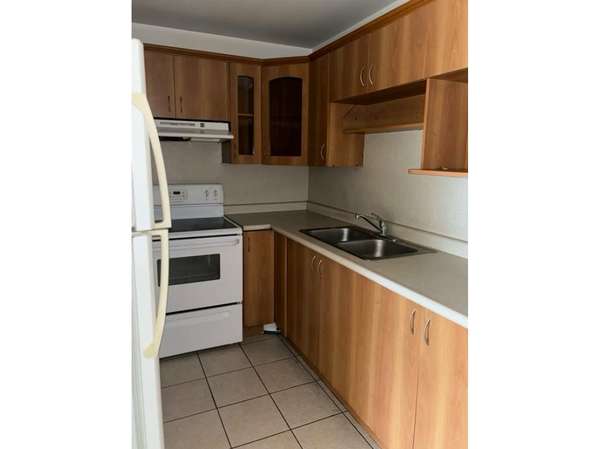 Apartment in Renta Zona 14