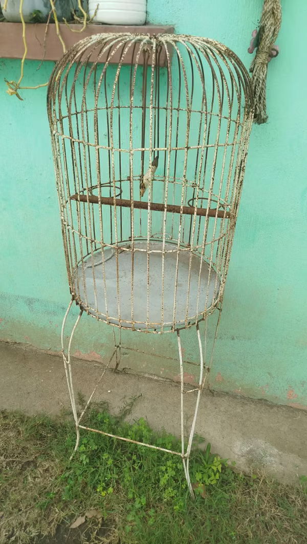 Vendo Jaula