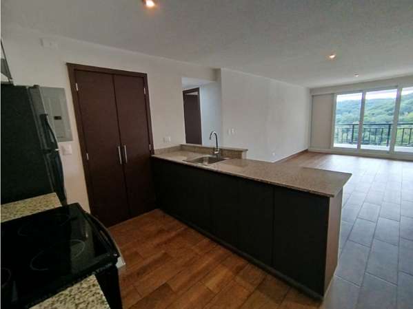 Apartamento en Renta Zona 16