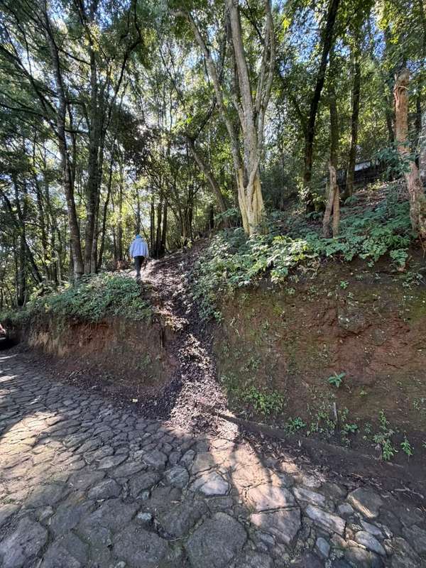  ¡Terreno rodeado de naturaleza en Choacorral! 