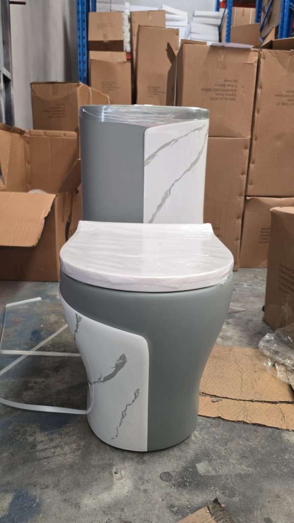 INODORO DE PORCELANA DE UNA PIEZA GRIS CON BLANCO