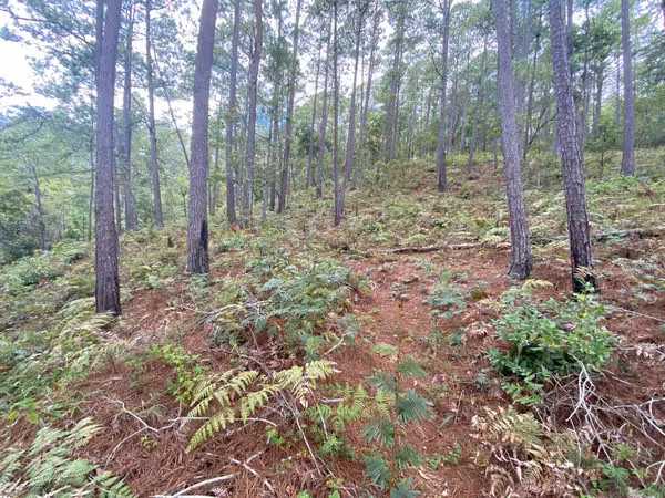 Venta de Terreno Santa Lucía