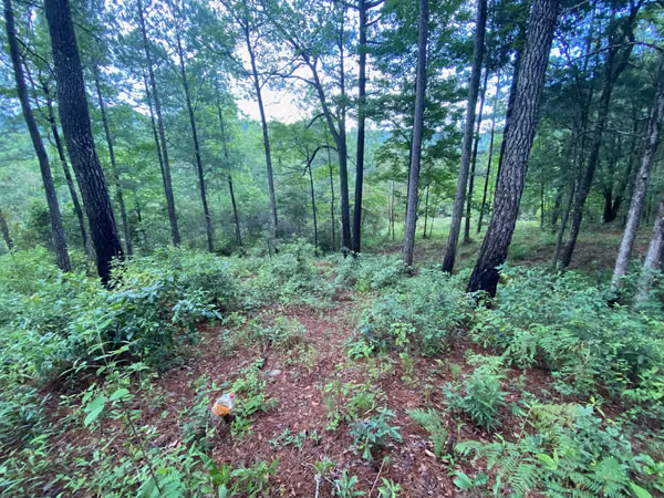 Terreno en Venta en Valle de Angeles