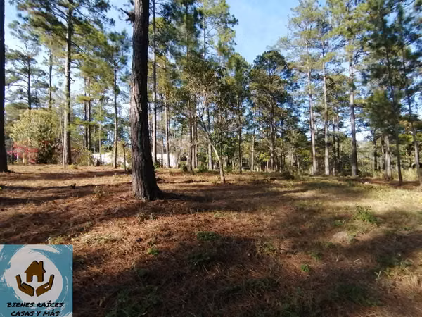 TERRENO SEMI PLANO EN VENTA EN ZONA EL MOLINO DE VALLE DE ÁNGELES