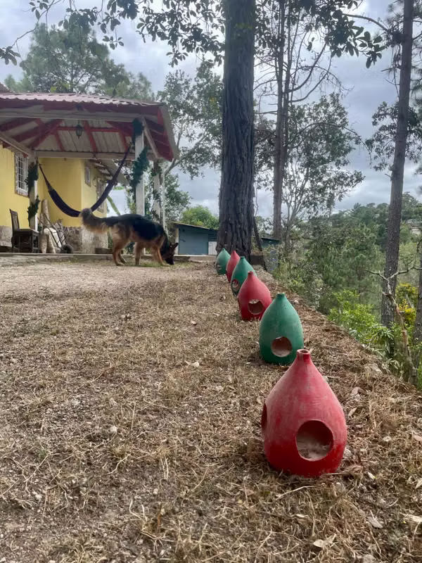 Casa con amplio terreno en Valle de Ángeles