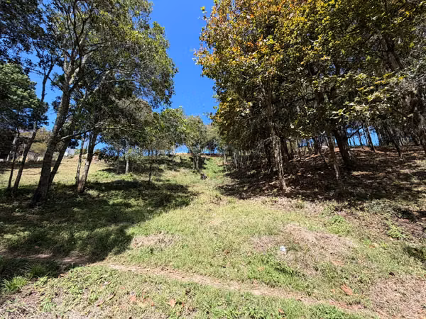 Se Venden Hermosos Lotes de Terreno en Sta. Lucia