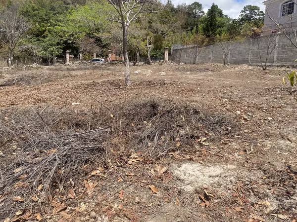 Land for sale Sauce, san buenaventura F.M.
