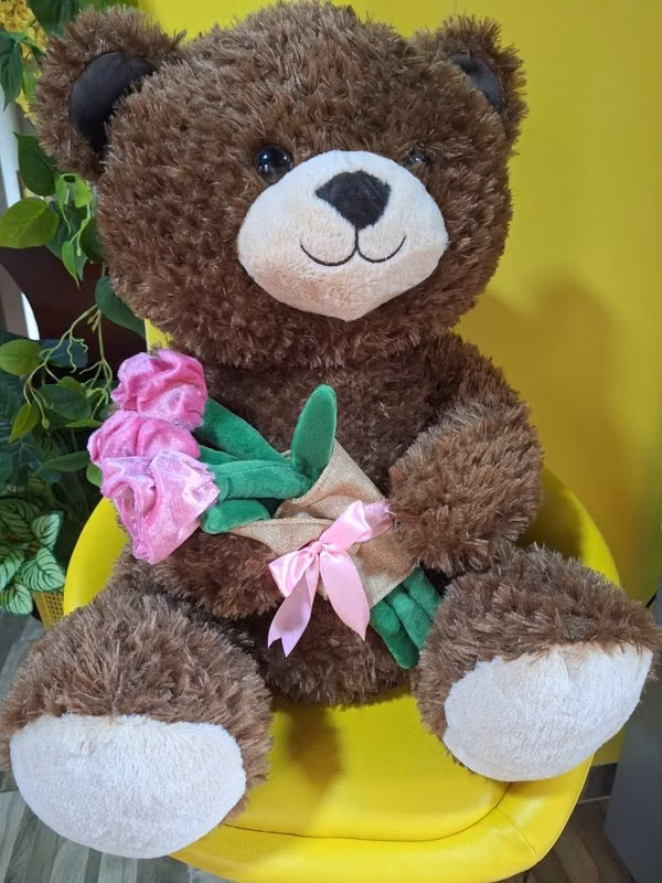 Osos de peluche