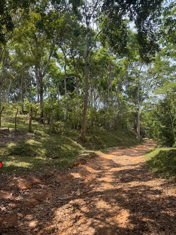 Property sold in Pajuiles, Tela