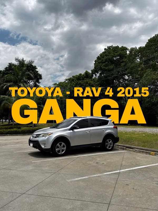 Toyota RAV4 LE 2015 4x4
