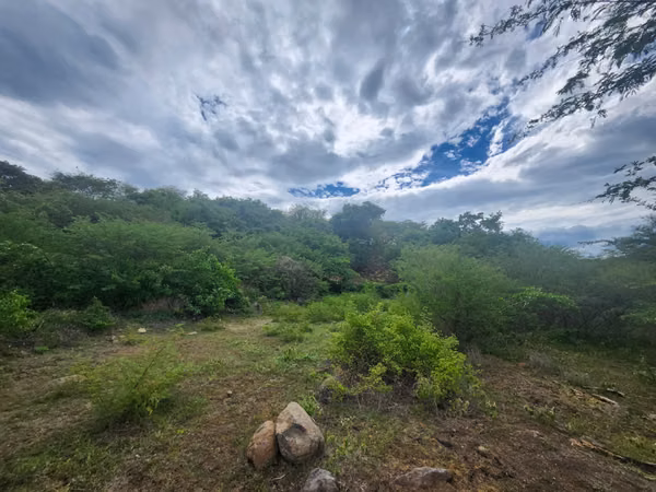 Venta Lotes Residenciales Pespire