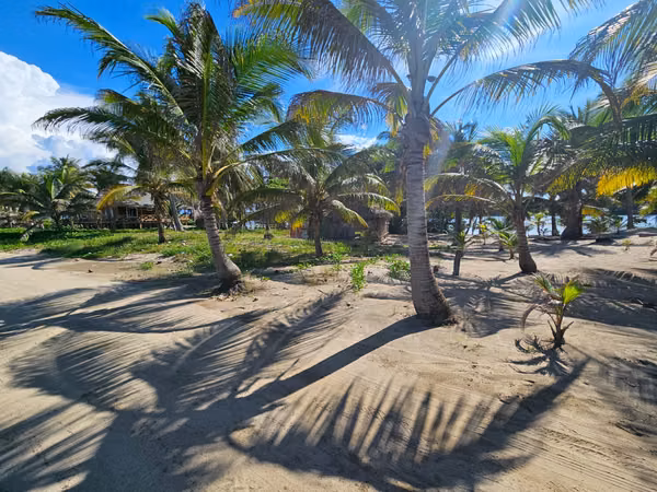  ¡TERRENO EN VENTA FRENTE A LA PLAYA – TELA, ATLÁNTIDA!