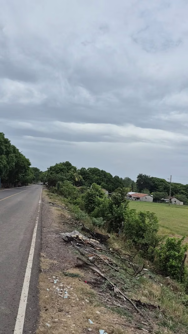 Terreno