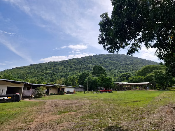  ¡FINCA EN VENTA EN SAN MANUEL, CORTÉS! 