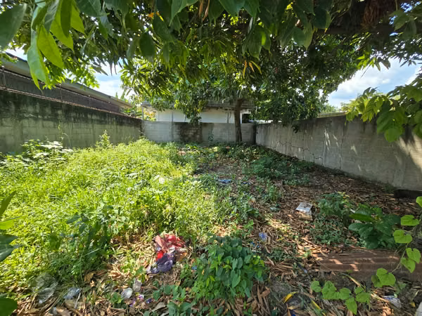  ¡TERRENO EN VENTA – LA CANDELARIA, CHOLOMA! 